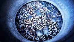 【圖集】精子掀起“漲價潮”：鏡頭下的全球人類精子庫