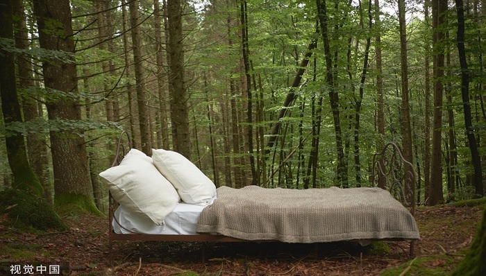 打新早报 | 上半年业绩负增长，睡趣科技、麦澜德上市后会破发吗？