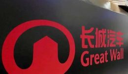 长城汽车换帅自救