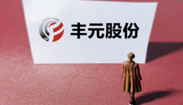 鋰電后起之秀，豐元股份能否成為第二個(gè)德方納米？