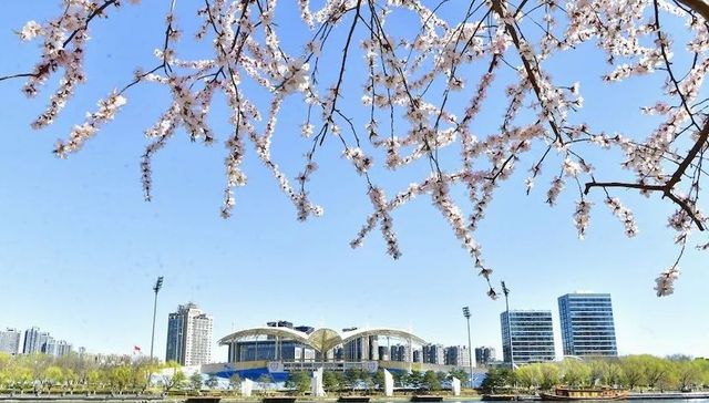 北京(通州)大运河文化旅游景区年底前免费开放，四大景区打造水上环线 | 文旅快报