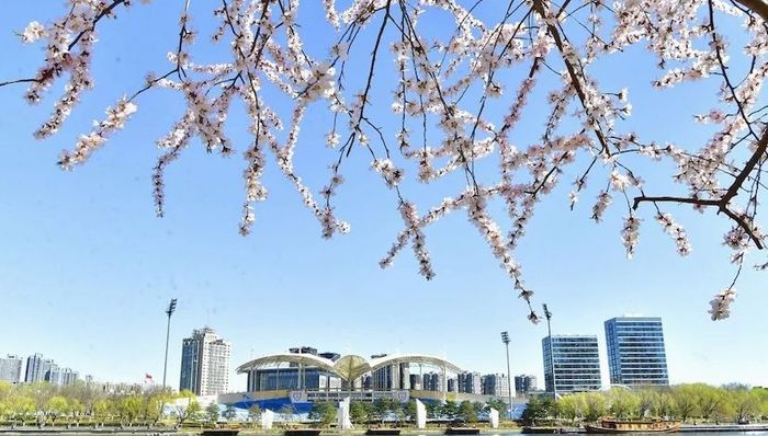 北京(通州)大运河文化旅游景区年底前免费开放，四大景区打造水上环线 | 文旅快报