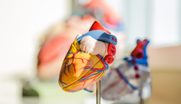 心血管2022半年报出炉：业务增速分化，中国产品竞争加速