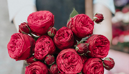 价格翻十倍，收割七夕，鲜花变“刺客”