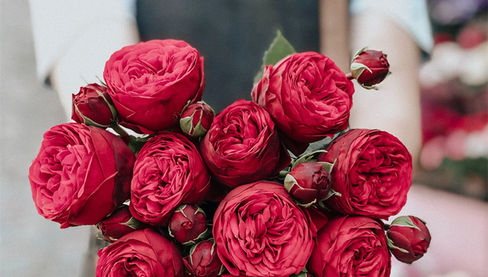 七夕,鲜花电商,中国市场