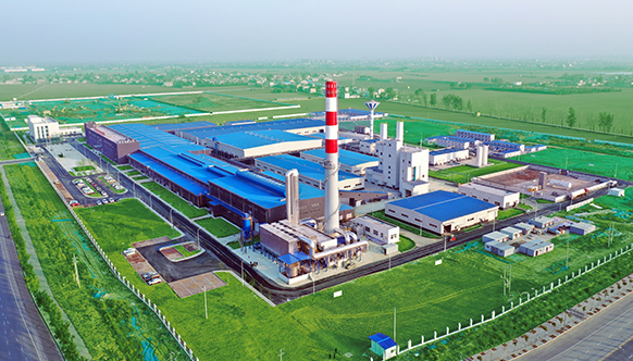 河南省委书记楼阳生调研东旭集团河南旭阳光电公司