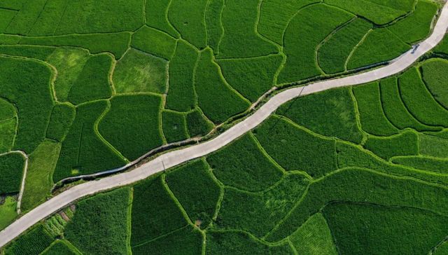 中等收入群体,中国式现代化,农村公共服务,优化分配,富农政策,产业空间布局,构建和谐,冷链物流,生产