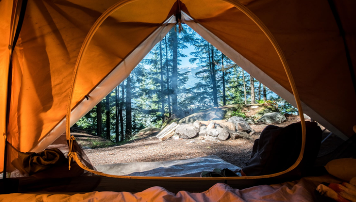 商业化,小红书,旅游,种草,投资