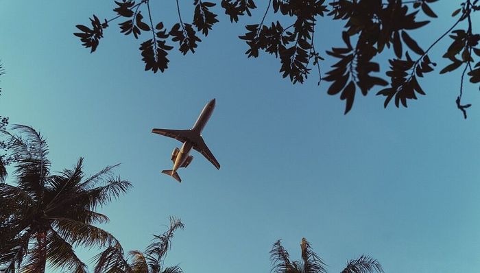 三亚航班取消率80%以上，返程机票价格暴涨