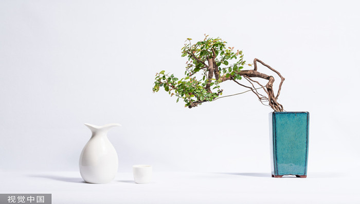 “东不入皖”，谁能拿走区域型酒企的奶酪？| 解密白酒牛股③