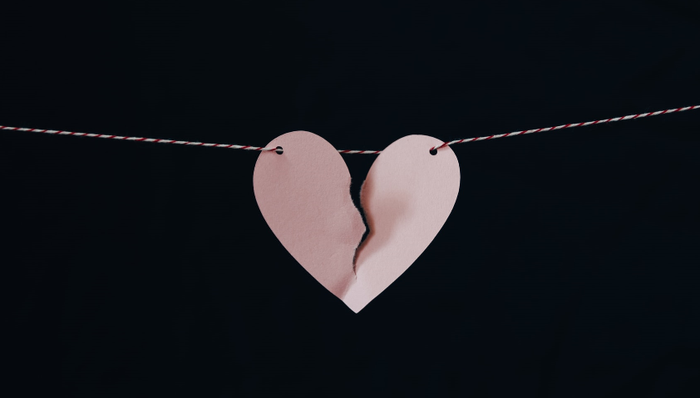 流量,网红博主,短视频,内容创作,疯产姐妹