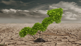 利尔化学上半年净利翻倍，二股东近轮减持即将收尾