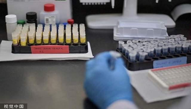 山东河南35人感染新亨尼帕病毒“琅琊”，专家称暂未发现人传人风险