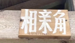 把相亲角搬到海外，不愧是咱爸妈