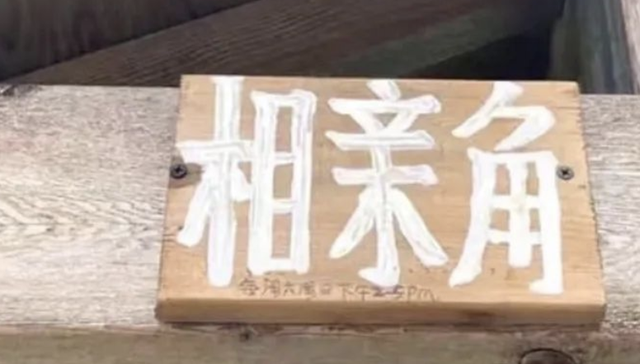 情感,婚恋,相亲,温哥华,加拿大