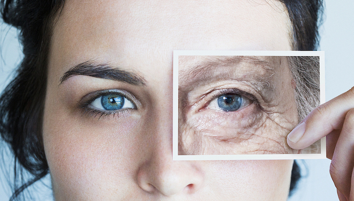 这个百亿规模市场吸引多家上市公司布局，谁折戟谁胜出？