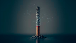 电子烟许可证，“拉不动”如今的雾芯科技