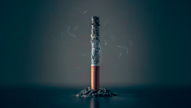 雾芯科技,线下渠道,营收,转型