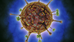 “瑯琊病毒”譯名引爭議，臨沂疾控中心和論文作者都回應(yīng)了