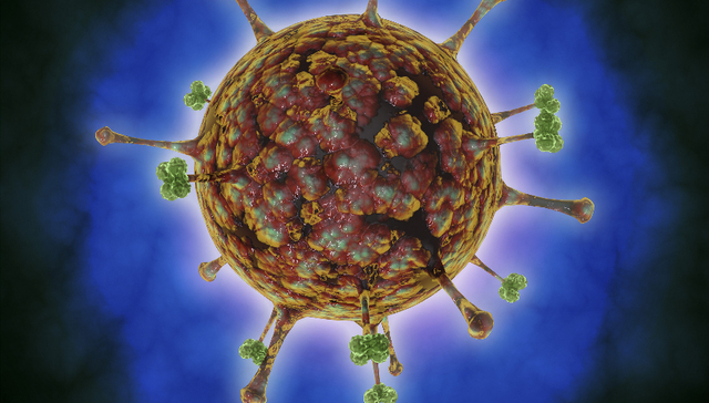 “琅琊病毒”译名引争议，临沂疾控中心和论文作者都回应了