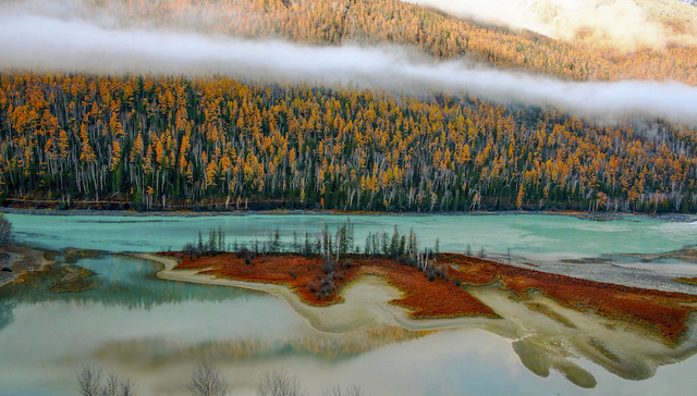 受疫情影响，新疆喀纳斯景区下调日接待游客量 | 文旅快报
