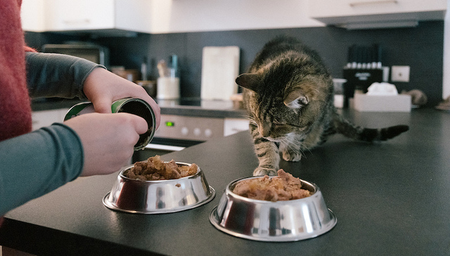 财说｜“兽药”更好卖？丽珠集团陷转型困境