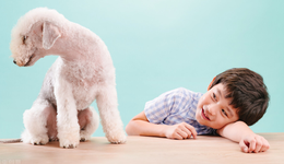 被資本熱捧的寵物經(jīng)濟(jì)，亟需一場(chǎng)價(jià)值重構(gòu)