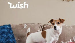 Wish二季度收入暴跌近八成，亏损收窄董事会变更