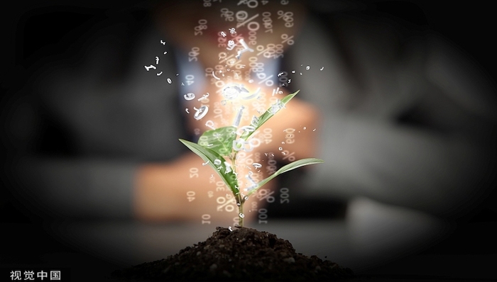 人参险、苹果贷、沙县小吃数智化平台……吉林、陕西、福建银保行业这十年有何亮点？