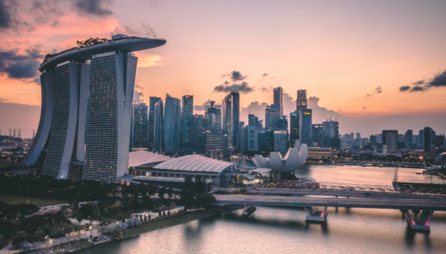 投资策略,财报,淡马锡