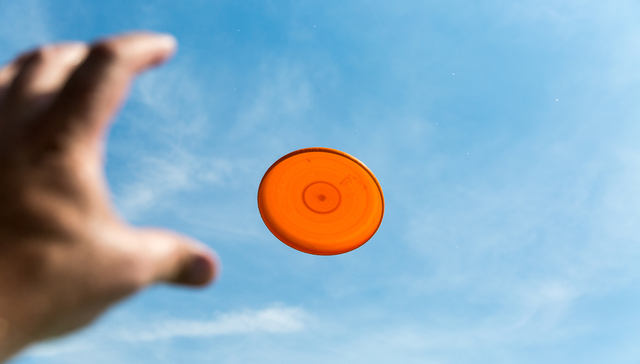 编辑部聊天室｜从攀岩到飞盘，小众运动究竟哪里吸引人？