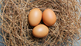 逆向投資，便宜并非硬道理