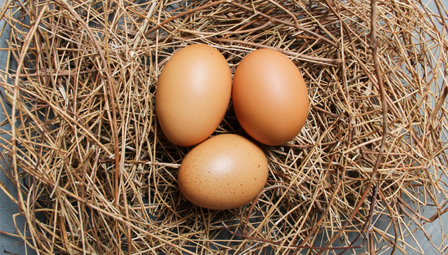 资本市场,投资理财,逆向投资