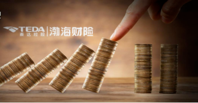 保险,渤海财险,业绩,泰达国际