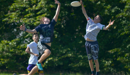 飞盘装备升级图鉴：从新手到死忠，TA们在买什么？