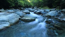 網(wǎng)紅打卡地成“奪命景區(qū)”，小紅書、抖音等平臺(tái)要擔(dān)責(zé)嗎？