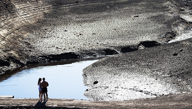 【图集】步行穿越河流，枯树躺在麦田：欧洲正经历500年来最严重干旱