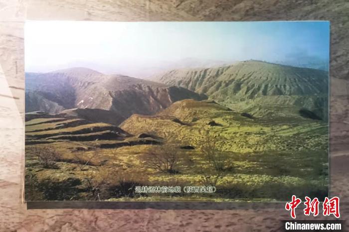 【美丽中国·网络媒体生态行】从“下场大雨脱层皮”到“披绿生金”陕西吴起退耕还林带来生态“蝶变”