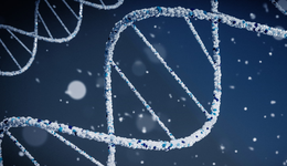 默沙东36.5亿美元押注，吉利德、BMS布局，TOP药企淘金“另类”RNA技术