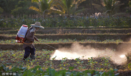 IPO雷達｜農(nóng)藥廠商綠霸股份：產(chǎn)品百草枯被多國禁售，實控人間接持股大客戶未披露