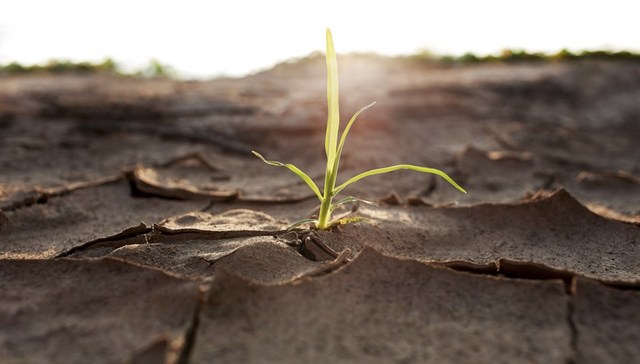 长江流域干旱致多地江河水位下降，重庆66条河流已断流