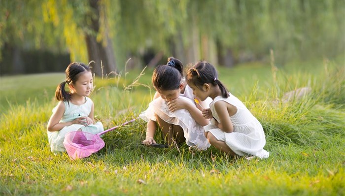 三孩政策满周年，多省干部考核任用仍需审查生育情况