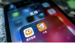 尴尬的“虎斗”：游戏直播不赚钱了