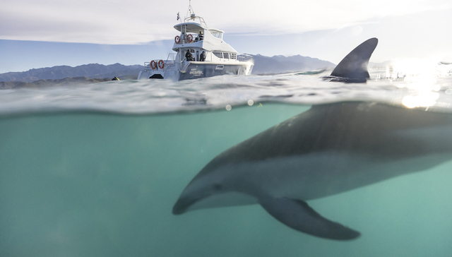 一周旅行指南 | 希尔顿集团迎来大中华区第 450 家酒店里程碑，Club Med 发布品牌中文名