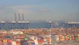 集装箱上的超级枢纽：不跑港澳，在广州南沙也能做“全球买卖”