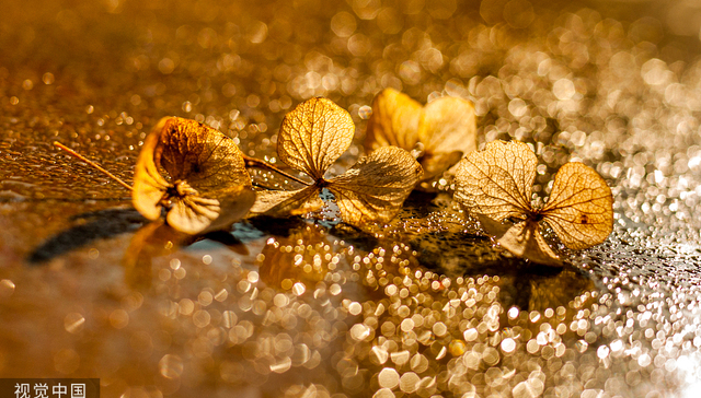 金蝶国际发布中期业绩：净亏损额同比扩大，中小企业客户仍是营收大头