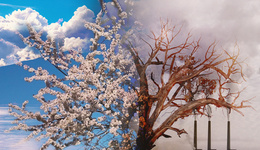 海天股份上半年营收净利双增，区域水务龙头跨界储能几成胜算？