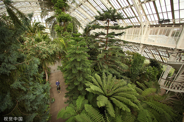 探访地球“保险箱”：24亿颗种子静静休眠，16900种植物活着被收藏