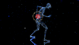 疼痛是人体的保卫者，而不是疾病探测仪｜一周新书推荐