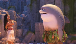 一年股價翻10倍，海昌海洋公園的估值邏輯發(fā)生了轉(zhuǎn)變